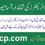 Assistant Director Jobs 2025 at Pakistan Airports Authority