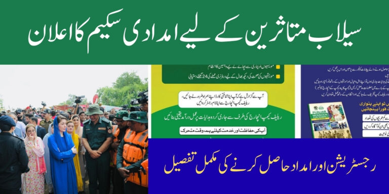 CM Punjab Flood Relief Program 2025 Registration and Financial Aid