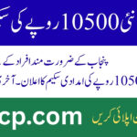CM Punjab Minority Card Scheme 2025 mcard.punjab.gov.pk