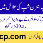 PM Internship Program 2025 for IT Graduates Online Apply