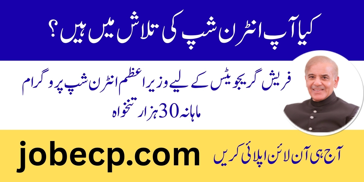 PM Internship Program 2025 for IT Graduates Online Apply