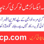 PPSC Assistant Jobs 2025 in Excise