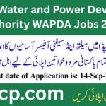 WAPDA Jobs 2025