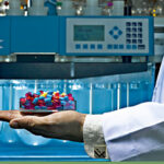 Chicago Best Business Jobs 2025