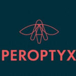 Latest Saudi Jobs 2025