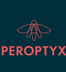 Latest Saudi Jobs 2025